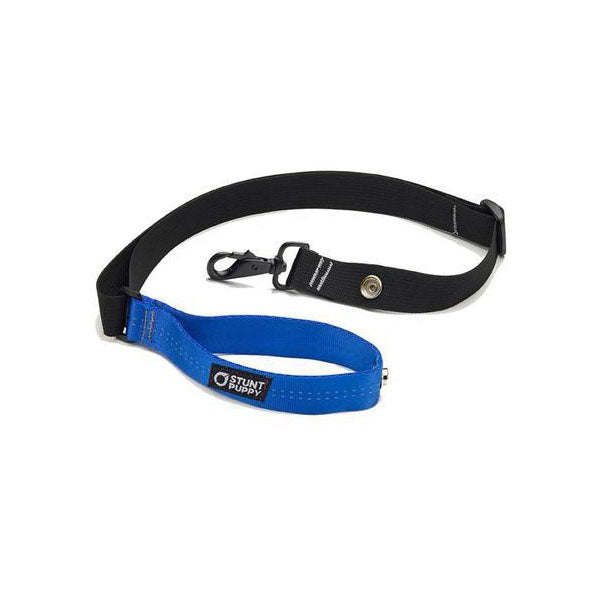 Blue Roundabout Leash