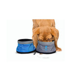 Dublin Dog: Nomad Travel Bowls