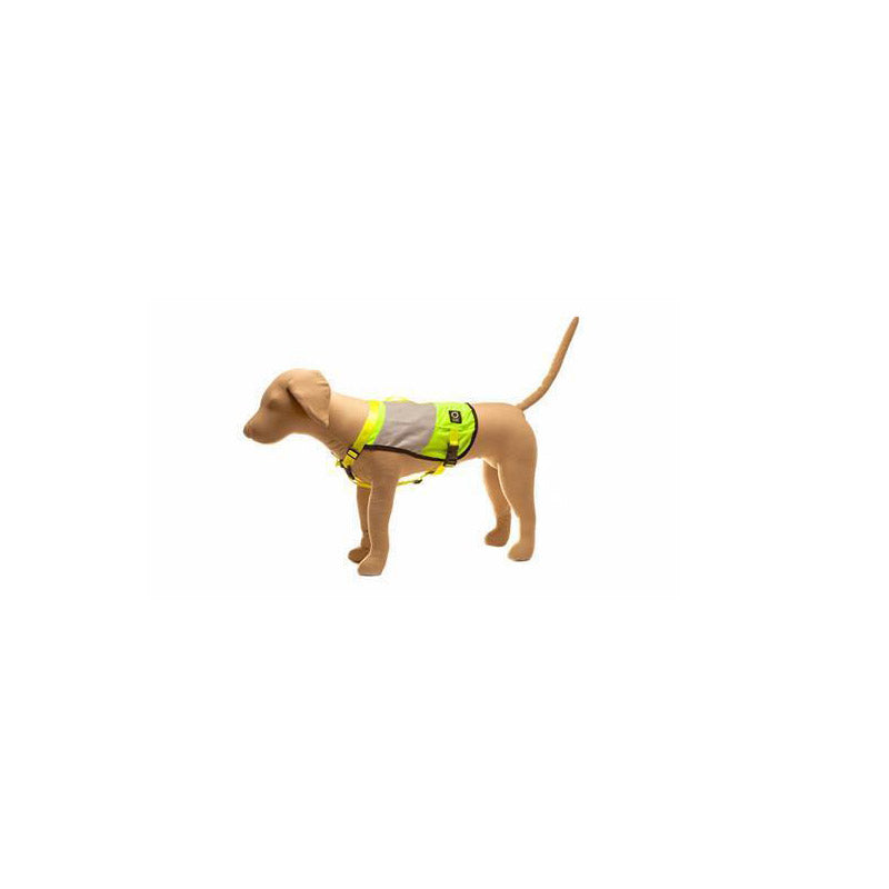 Go Dog Glo High Visibility Vest (Extra Small/Small)