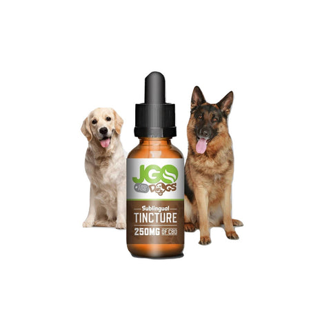 Jolly Green Oil: CBD Tincture for Dogs (250mg)