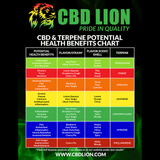 CBD Lion: Ghost Train Haze CBD Shatter (950mg)